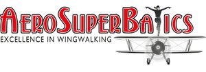 Wing Walkers logo