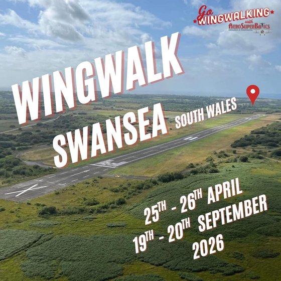 Wing Walkers